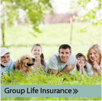 Group Life Insurance